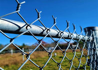 4mm Black PVC Diamond Wire Fence 5ft 6ft Tall