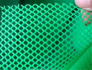 Hexagonal hole HDPE Green Plastic Garden Mesh For Grass Protection Use