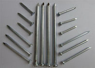 Polished Surface Common Iron Nails Flat Head Type Strong Tensile For Construction
