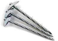 BWG8 2-1/2&quot; Galvanised umbrella Roofing Nails