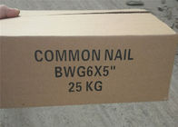 5&quot; length 25kgs In Carton Galvanized Common Nails