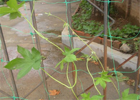6.5 Feet Plastic Mesh Netting Hdpe Garden Leaf Guard Protector Trellis