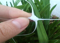 1.8m Height White Plastic Net Climbing Outdoor Plant Support