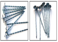 Bwg 10 2.5'' Length Galvanised Roofing Nails Umbrella Head