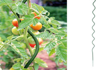 5mm Diameter Tomato Growing Wire 1.6m Height Galvanized Spiral