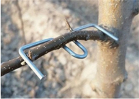 13CM Length Galvanized Steel Wire Furit Trees Use Tree Branch Pressing Tool