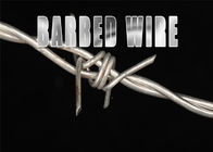100mm Stainless Steel Barbed Wire