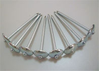 BWG9 Smooth Shank Hot Dipped Galvanized Roofing Nails