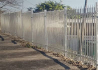 3.2m D Profile Wrought Iron Galvanized Palisade Fencing