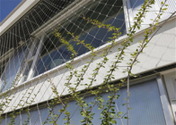 100*100mm Wire Rope Mesh Green Plant Climbing Ss304