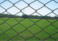 6&quot; Height 4 Ft Green Chain Link Fence Pvc Coated Iron Wire Mesh