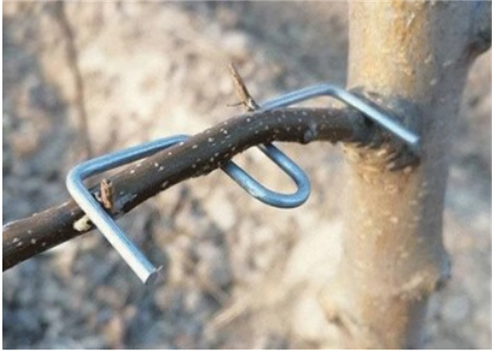 13CM Length Galvanized Tree Branch Pressing Tool Furit Trees Use