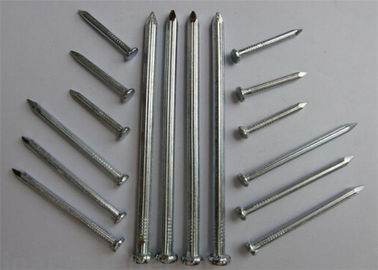 Anti - Corrosion Metal Wire Nails Q195 Steel Common Iron Nail Used For Furniture